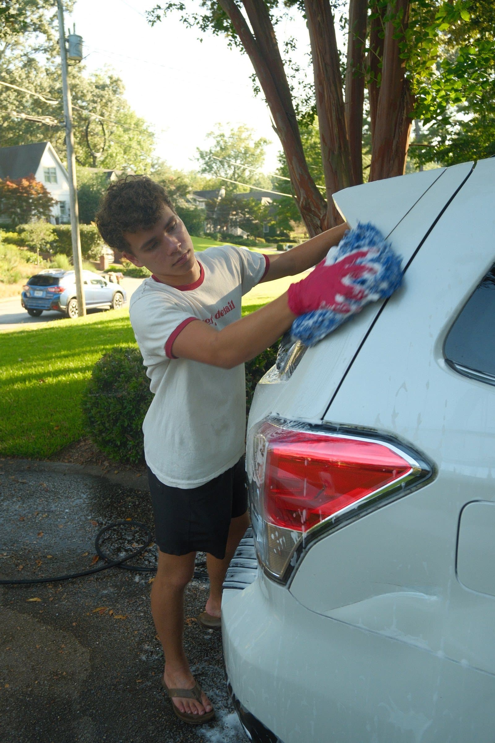 Every Detail: Why pet hair is so hard to get out of a car