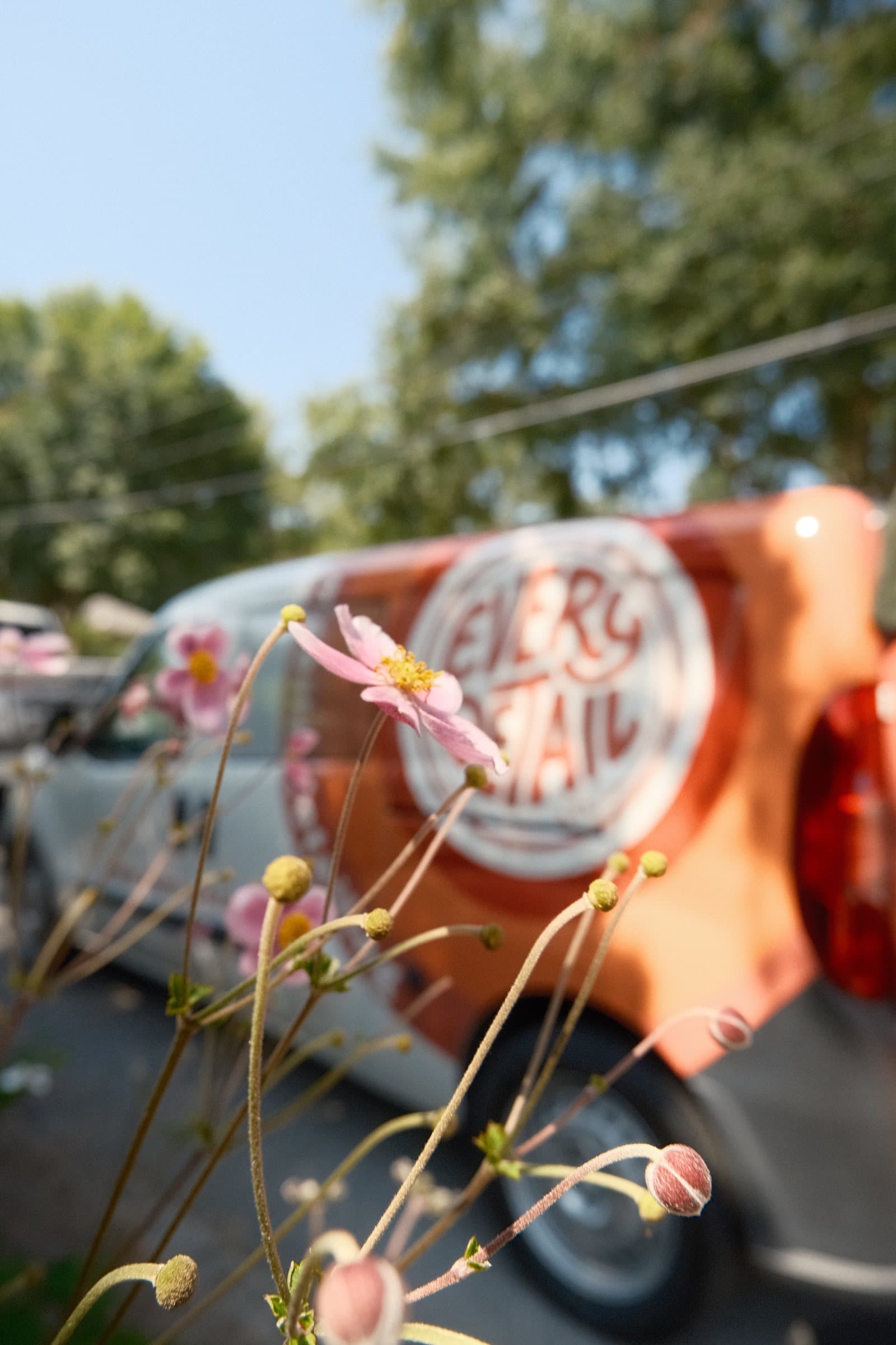 Every Detail van photographed through flowers at a neighborhood job